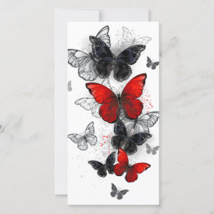Mariposas Morpho voladoras negras y rojas
