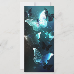 Mariposas nocturnas