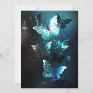Mariposas nocturnas