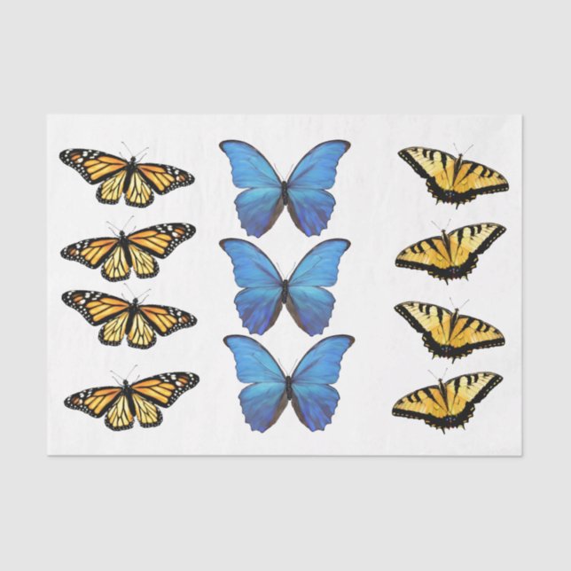 Mariposas - Papel de tono de descomposición (Anverso)