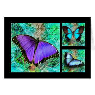 Mariposas púrpuras