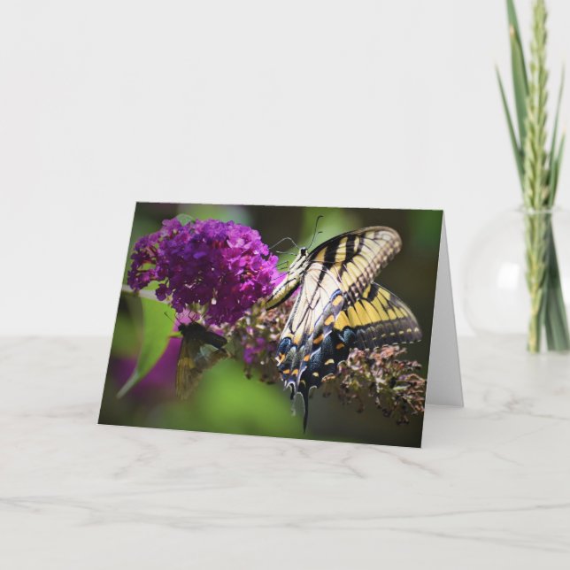 Mariposas, tarjeta (Anverso)