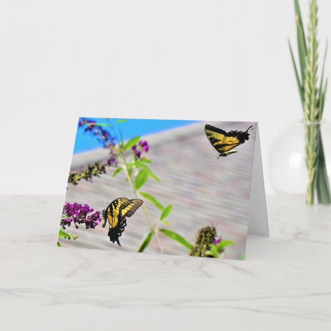 Mariposas, tarjeta (Anverso)