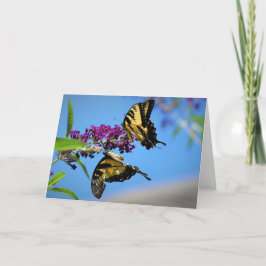 Mariposas, tarjeta