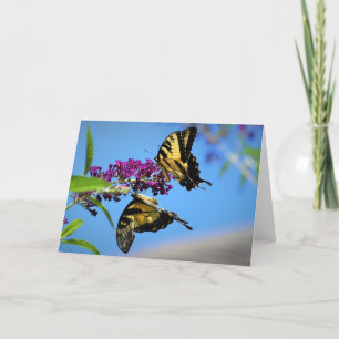 Mariposas, tarjeta