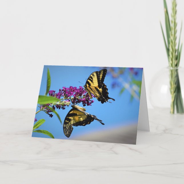 Mariposas, tarjeta (Anverso)