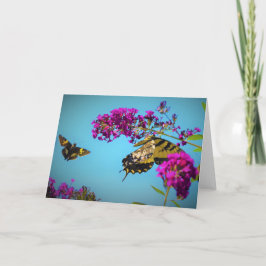 Mariposas, tarjeta
