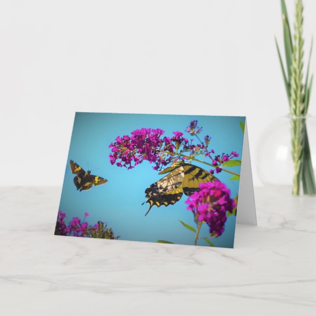 Mariposas, tarjeta (Anverso)