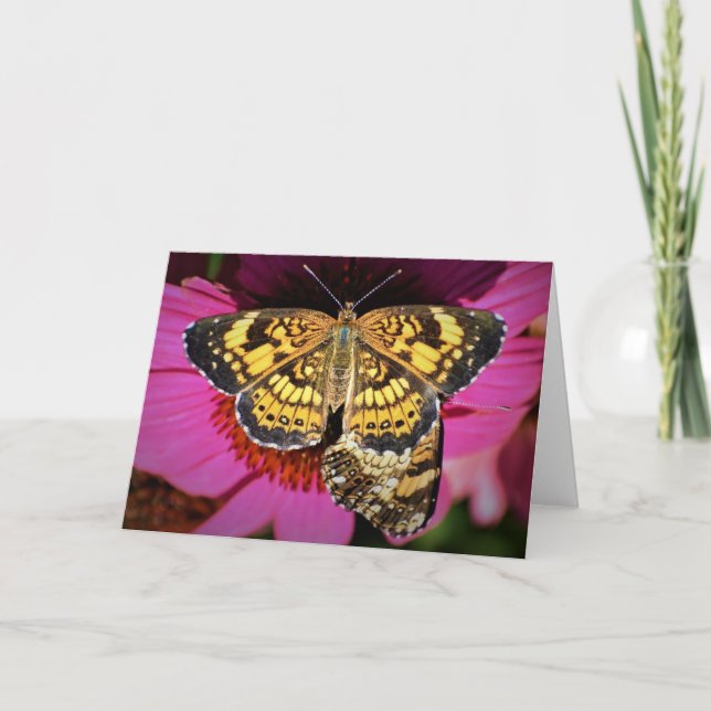 Mariposas, tarjeta (Anverso)