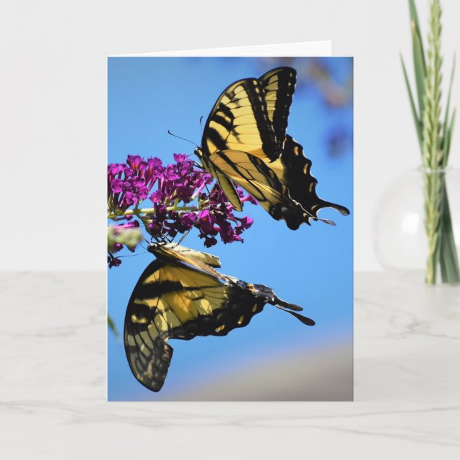 Mariposas, tarjeta (Anverso)