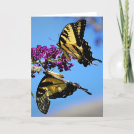 Mariposas, tarjeta
