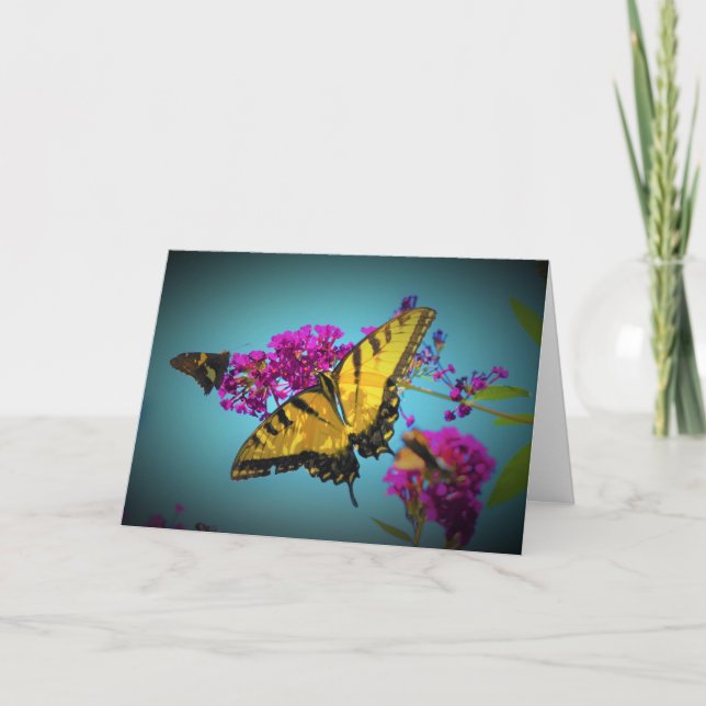 Mariposas, tarjeta (Anverso)