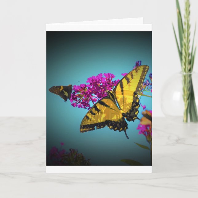 Mariposas, tarjeta (Anverso)