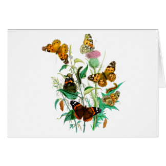 Mariposas y silbidos