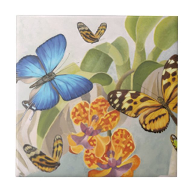 Mariposas y teja de la orquídea (Frente)