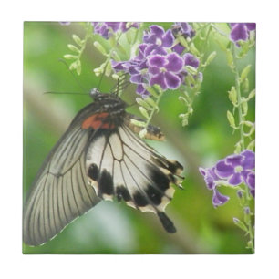 Mariposas y teja de las flores