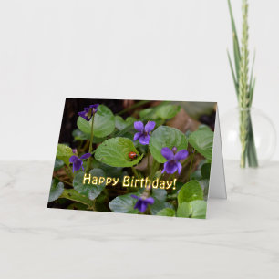 Mariquita en flores de violeta dulce