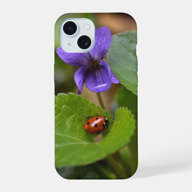 Mariquita en flores de violeta dulce (Reverso )