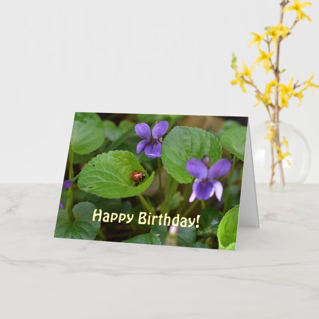 Mariquita en flores de violeta dulce (flor amarilla)