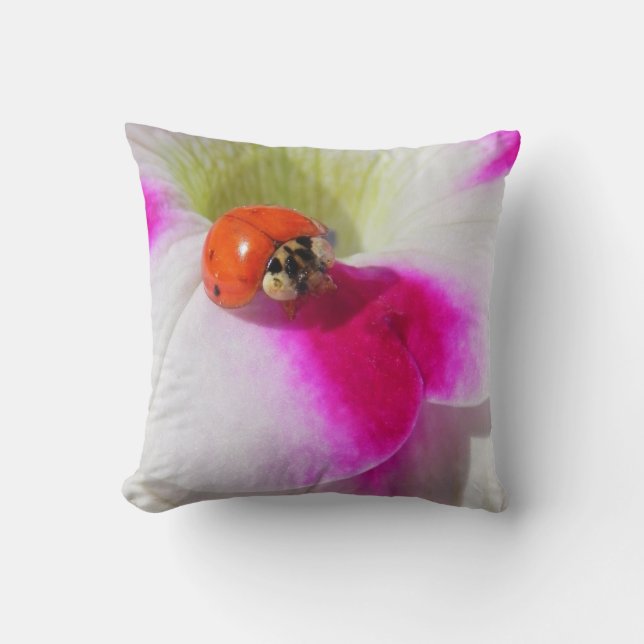 Mariquita en la petunia - Almohada (Anverso)