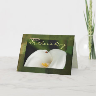 Mariquita en tarjeta del día de madre de la cala