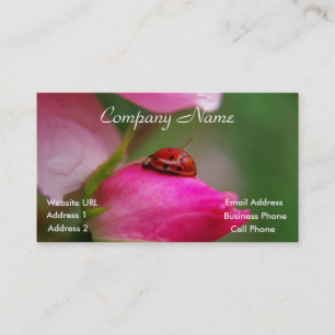 Mariquita en una tarjeta de visita color de rosa