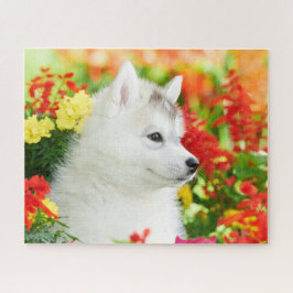 Mariquita Husky siberiana en el rompecabezas de la