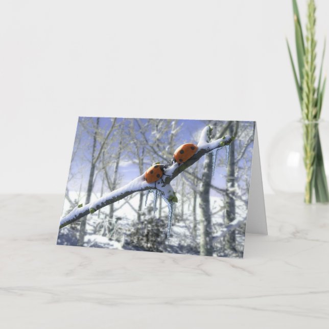 Mariquitas del navidad (Anverso)