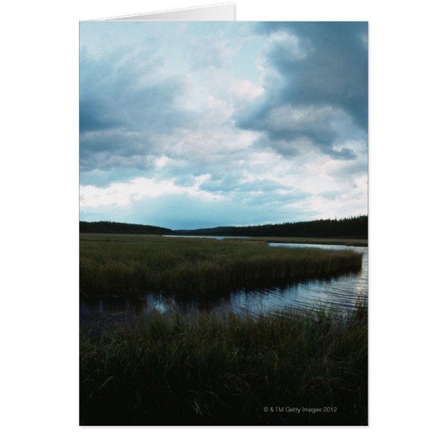 Mariscos de sal (Frente)