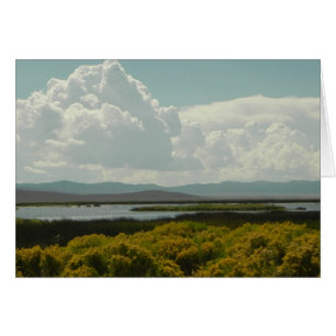 Marismas de rubí, pincel de conejo