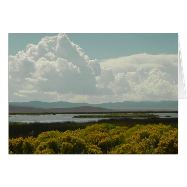 Marismas de rubí, pincel de conejo (Anverso (Horizontal))