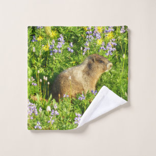 Marmot en Mont Rainier Wildflowers