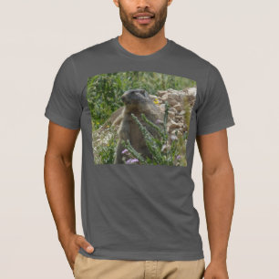 Marmota alpina con camiseta baja