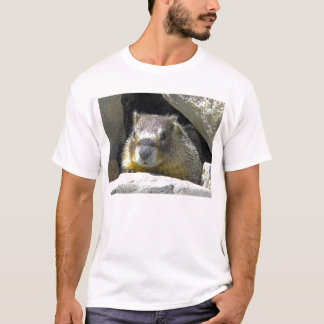 Marmota en camiseta de la guarida de la roca