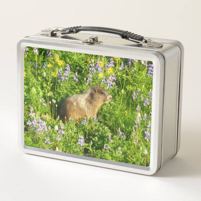Marmota en flores silvestres del Monte Rainier (Anverso)