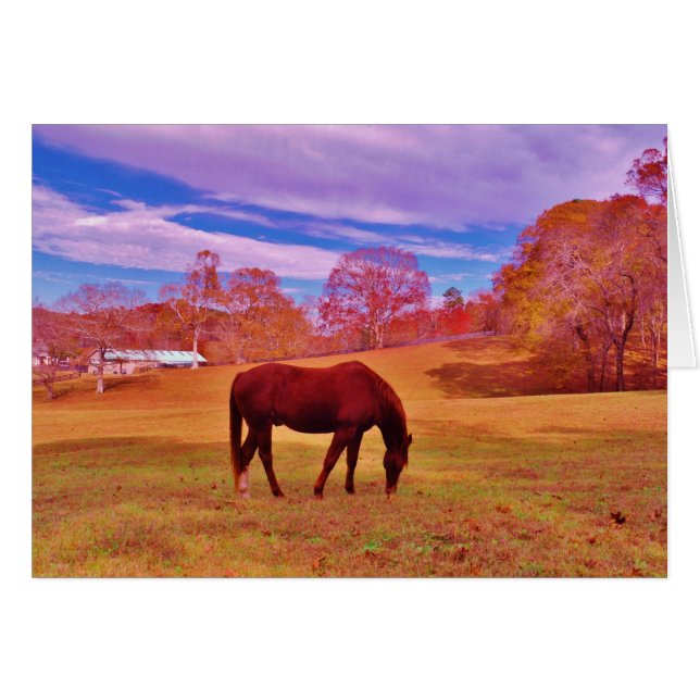 > Marrón en un campo de color soñado (Anverso (Horizontal))