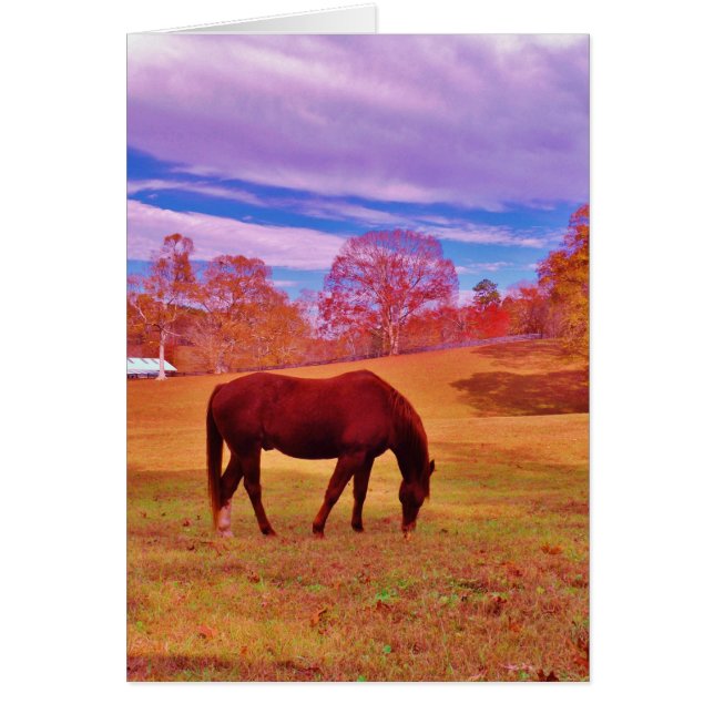 > Marrón en un campo de color soñado (Frente)