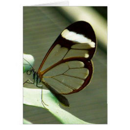 Marrón sorprendente y mariposa translúcida