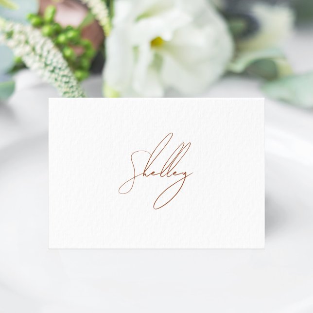 Marrón Terracota Nombre de invitado Mesa Tarjeta d (Brown Terracota Individual name Place Card)