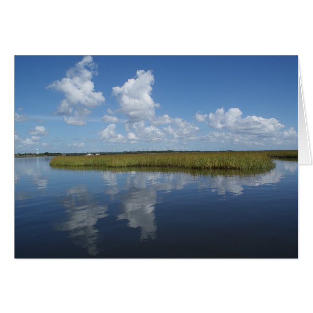 Marsh Mellow II (Anverso (Horizontal))