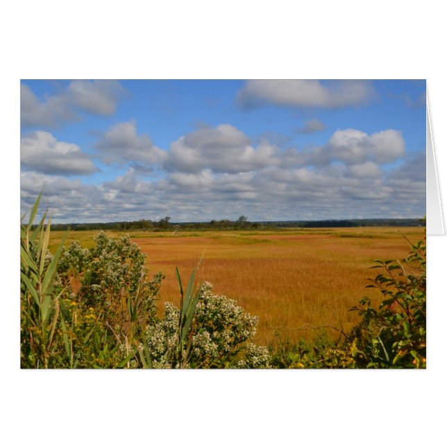 Marsh Notecard (Anverso (Horizontal))