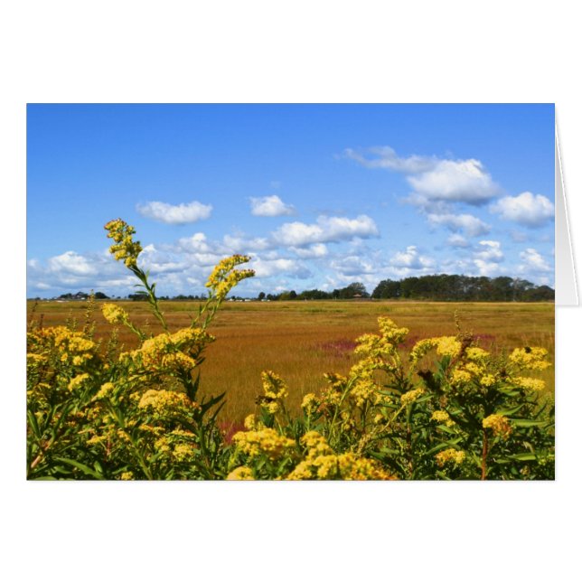 Marsh Notecard (Anverso (Horizontal))