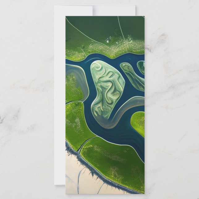 Marshland Elegance (Anverso)