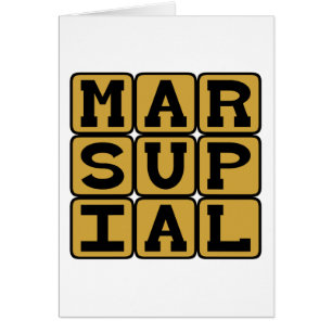 Marsupial, mamífero con marsupio