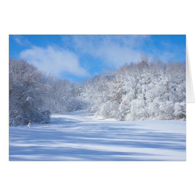 Marthaler Park Snowy Hills (Anverso (Horizontal))