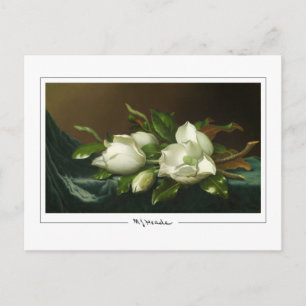 Martin Johnson Heade #12 - Tarjeta postal de arte 