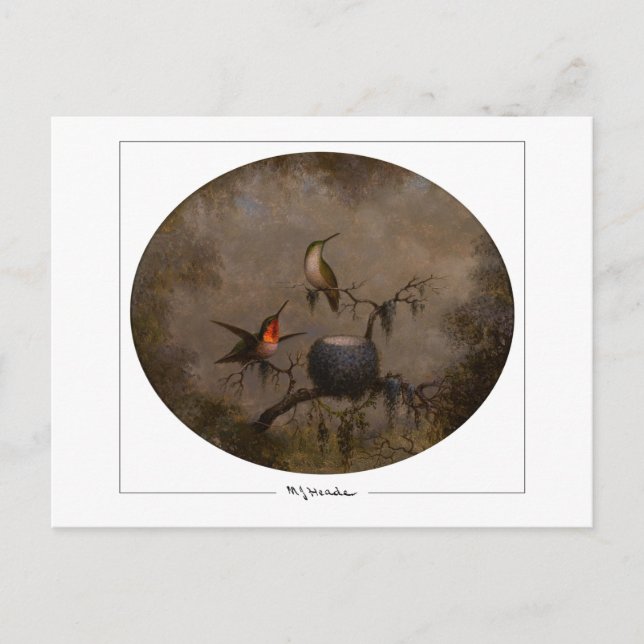 Martin Johnson Heade #131 - Tarjeta postal de arte (Anverso)