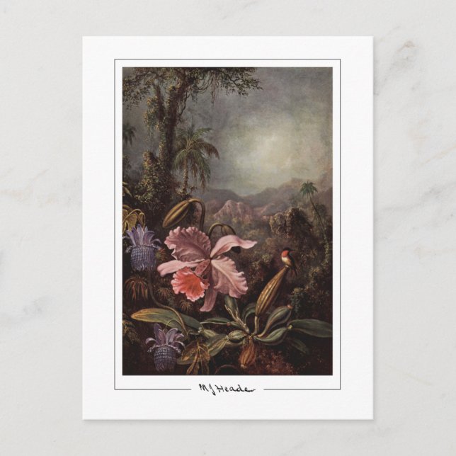 Martin Johnson Heade #202 - Tarjeta postal de arte (Anverso)