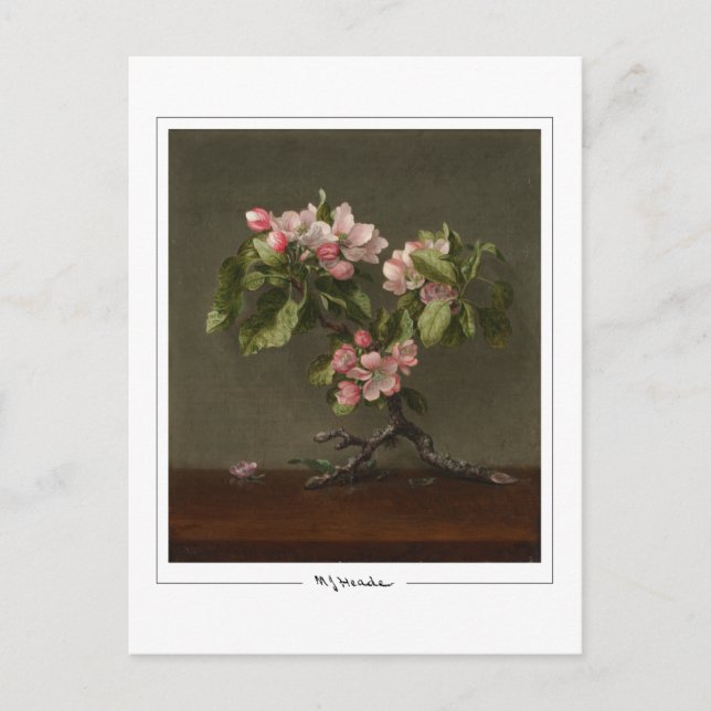 Martin Johnson Heade #26 - Tarjeta postal de arte  (Anverso)