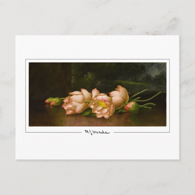 Martin Johnson Heade #34 - Tarjeta postal de arte  (Anverso)